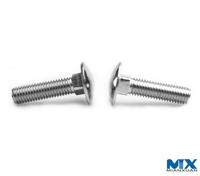 Pernos de carro de acero inoxidable/pernos de cuello cuadrado