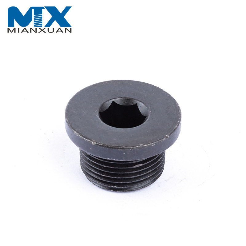 Enchufe del parte movible del reborde de la cabeza del zócalo del hexágono del acero inoxidable de SS304 DIN908