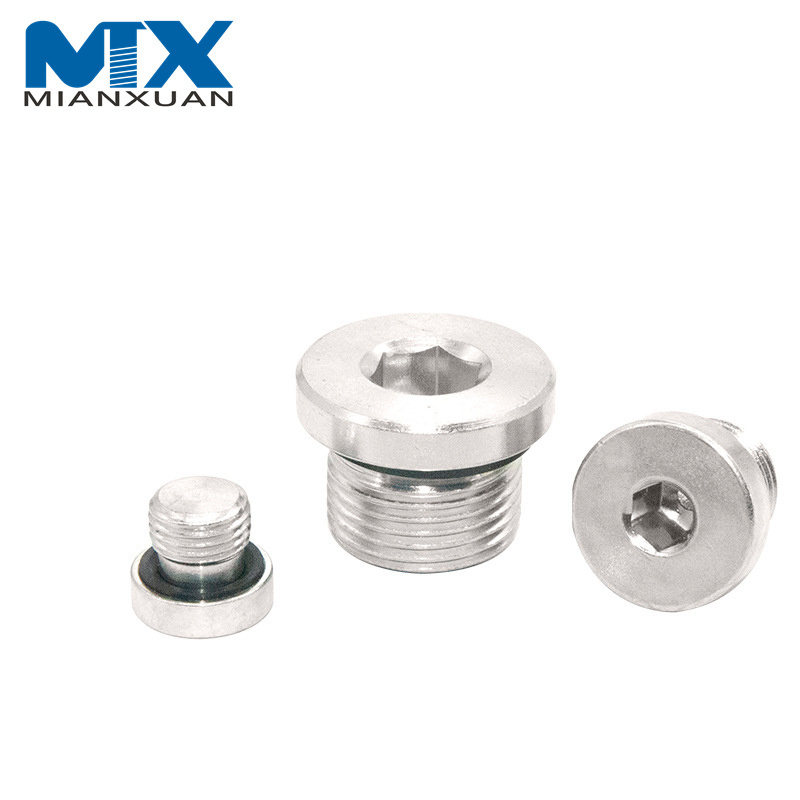 M10 M12 M16 Acero inoxidable A2 A4 Tapón de tornillo con cabeza hexagonal DIN908