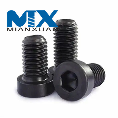 Tornillos de cabeza fina con zócalo hexagonal de acero inoxidable A2