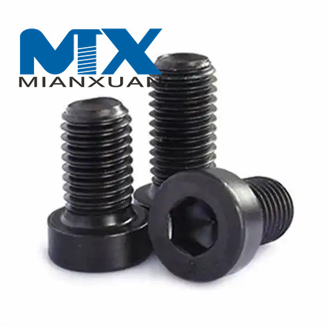 Tornillos de cabeza fina con zócalo hexagonal de acero inoxidable A2