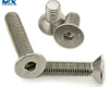 Tornillos empotrados de pH con cabeza redonda avellanada-Csk