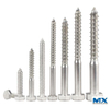 Tornillos de entrenador hexagonales de acero inoxidable
