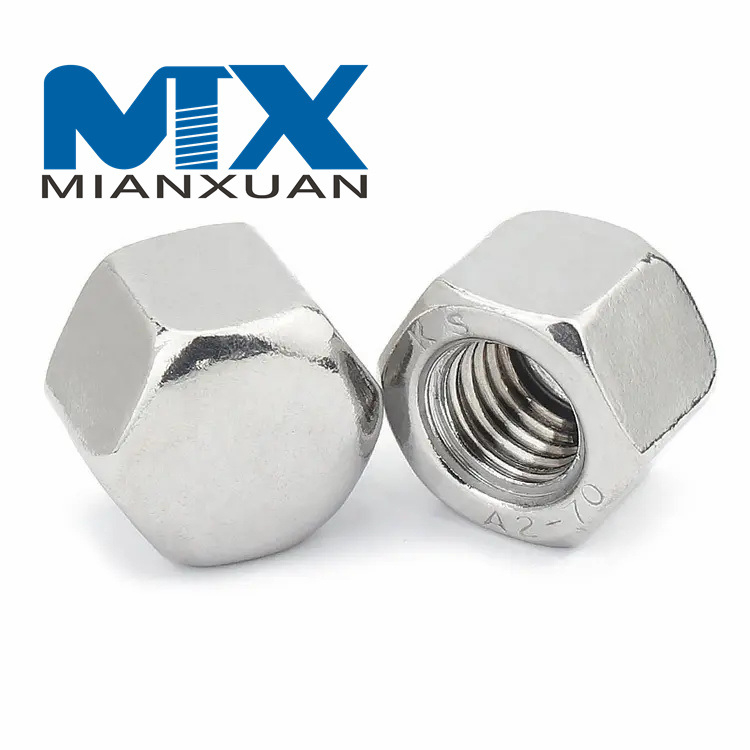 Tuercas hexagonales de acero inoxidable DIN917