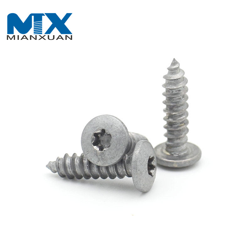 Tornillo autorroscante de cola puntiaguda antirrobo de seguridad con ranura Torx avellanada especial