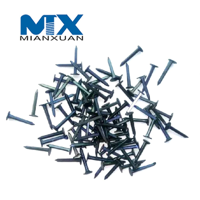 Hardware al por mayor Tornillos de acero inoxidable y clavos con tachuelas para zapatos de cabeza redonda