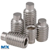 Tornillos de fijación hexagonales de acero inoxidable con punta de perro