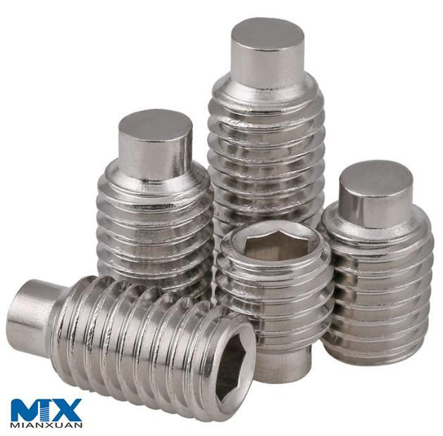 Tornillos de fijación hexagonales de acero inoxidable con punta de perro