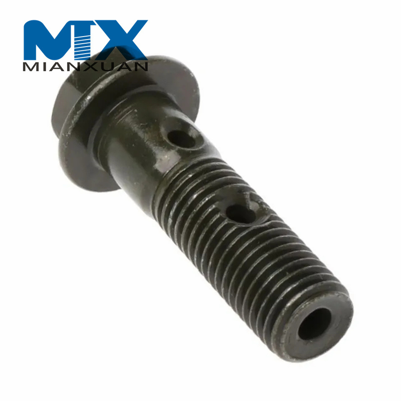 Sujeciones automotrices de perno de tornillo hueco hueco con dos orificios