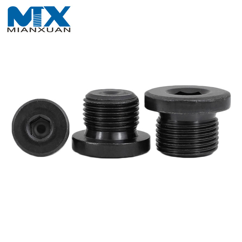 Enchufe del parte movible del reborde de la cabeza del zócalo del hexágono del acero inoxidable de SS304 DIN908