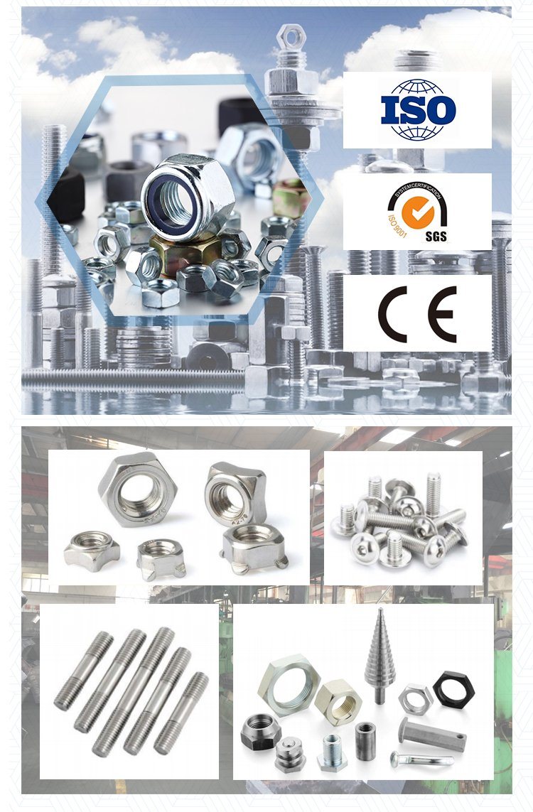 Inoxidable A2 A4 304 316 A2-70 A4-80 Tuerca cuadrada DIN 562 557 Tuerca cuadrada DIN557 DIN562 M24 M30 M36 M42 M48