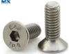 Tornillos empotrados de pH con cabeza redonda avellanada-Csk
